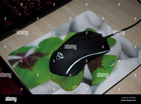 green mouse  detailed texture stock photo alamy