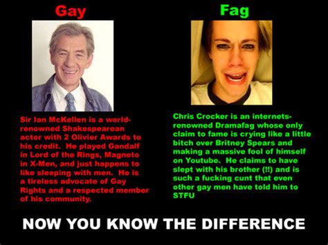 Gay Vs Fag