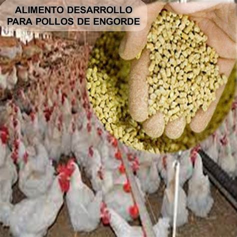 Actualizar Imagen Donde Comprar Alimento Para Pollos De Engorde