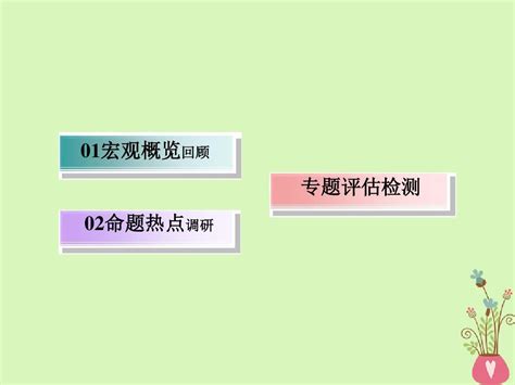 2018版高三政治二轮复习专题五我国的公民与政府课件word文档在线阅读与下载无忧文档