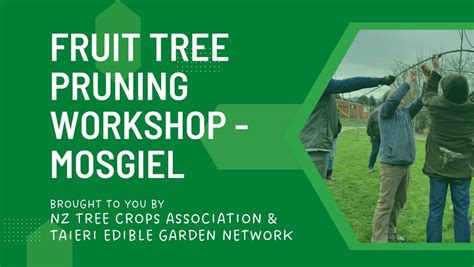 Fruit Tree Pruning Workshop Mosgiel Silverstream South School