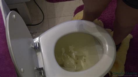 Watch DakotaCharmsxxx Melting Toilet Paper In Private Premium Video