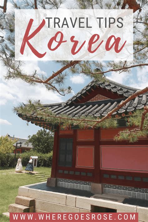 30 South Korea Travel Tips To Know Before Going! - Where Goes Rose?