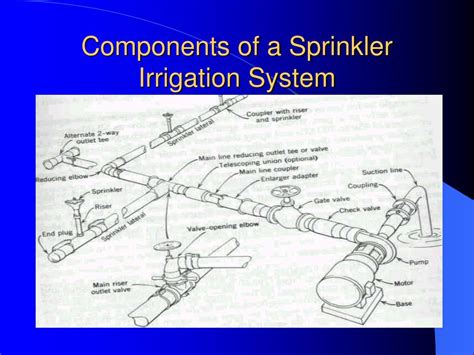 Ppt Chapter Three Irrigation Methods And Designs Powerpoint