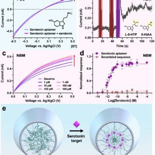 Aptamer Functionalized Capacitive Biosensors