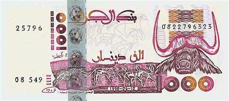 Currency: Dinar (Algerian) currency