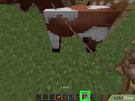 Wie Man Ein Pferd In Minecraft Pc Z Hmt