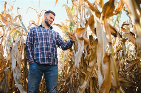 Premium Photo Agronomist Checking Corn If Ready For Harvest Portrait