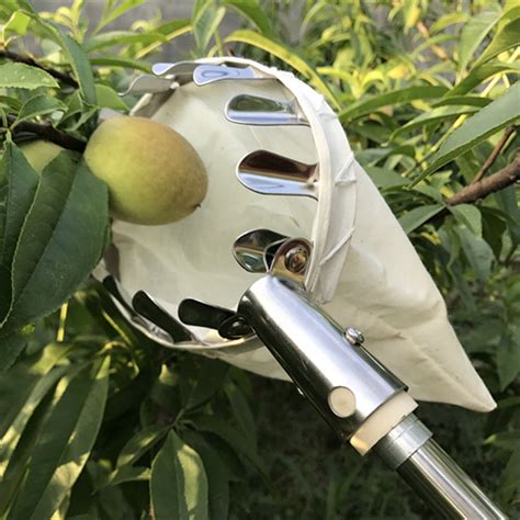 Picking Tools For Orchard Garden Farm Apple Peach High Tree Fruit