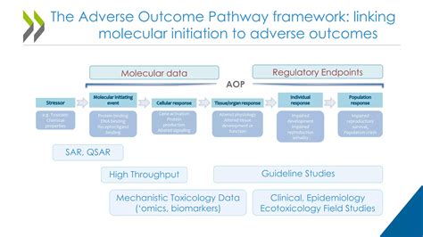 Introduction To The Adverse Outcome Pathways Concept And Framework