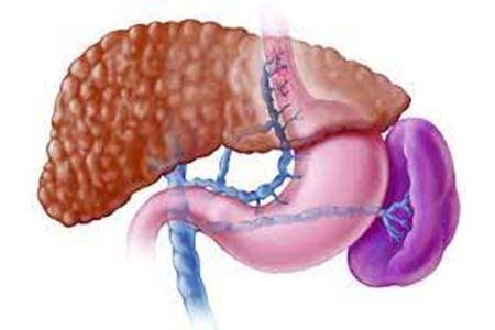 Esophageal Varices Treatment in India: Causes, Hospitals