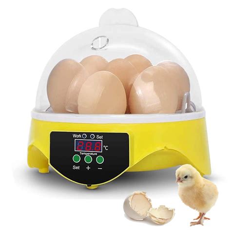 Buy Sailnovo Mini Egg Incubator Eggs Poultry Hatcher Machine For