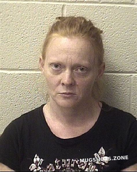 Speece Donna Lynn Alexander County Mugshots Zone