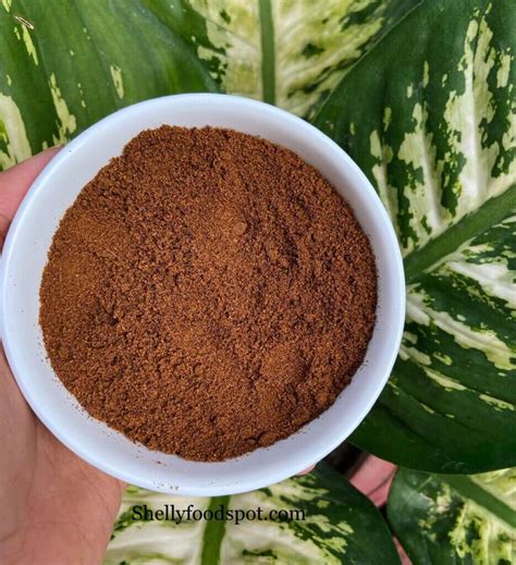 Roasted Cumin Bhuna Jeera Powder Recipe Shellyfoodspot