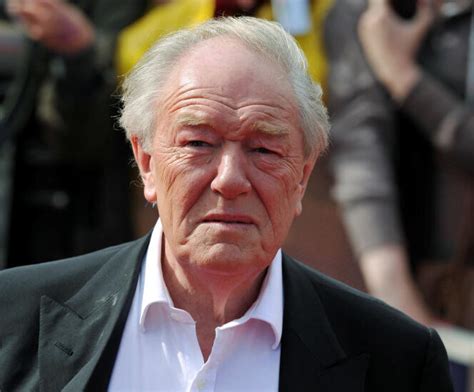 Lacteur Michael Gambon Connu Pour Son R Le De Dumbledore Dans Harry