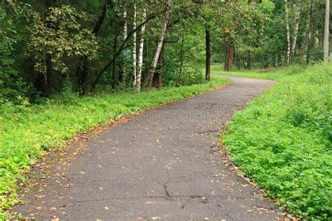 Asphalt Winding Path In The Russian Forest Stock Image Image Of Path