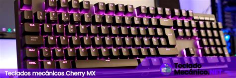 Teclados Cherry Mx Mec Nicos Qu Es Tipos Y Gu A De Compra