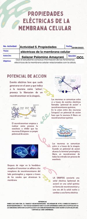 Cuadro Comparativo Componentes Citoesqueleto Estructura Formados Por