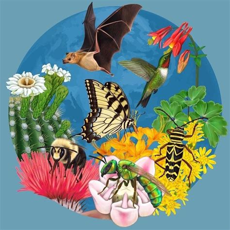 Dr Erica Colon On Instagram In Celebration Of National Pollinator