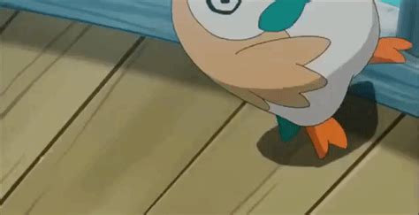 Rowlet Pokémon Sun And Moon Know Your Meme