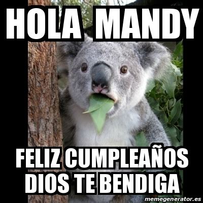 Meme Koala Hola Mandy Feliz Cumplea Os Dios Te Bendiga