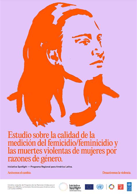 Estudio sobre la calidad de la medición del femicidio feminicidio y las