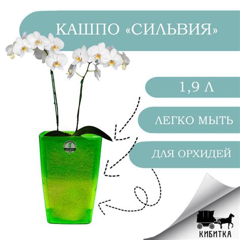 Кашпо для цветов 1,9 л СИЛЬВИЯ ЗЕЛЕНАЯ горшок для орхидей, диаметр 12,5 ...