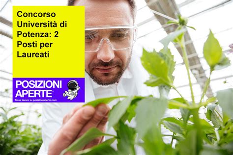 Concorso Universit Di Potenza Posti Per Laureati