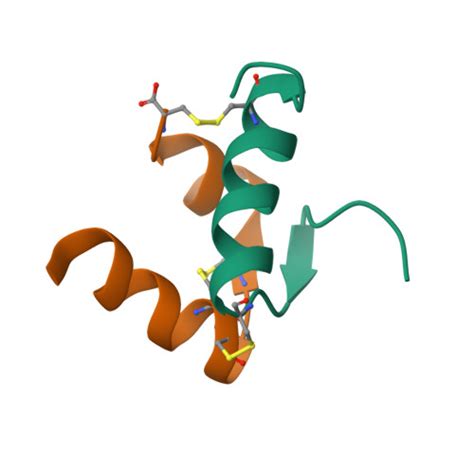 RCSB PDB - 2FHW: Solution structure of human relaxin-3