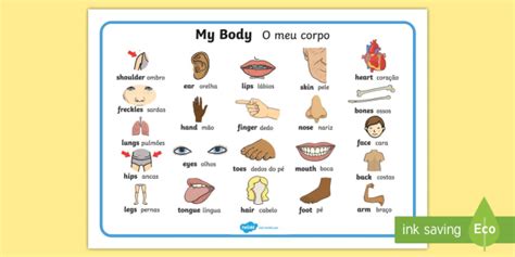 My Body Word Mat English Portuguese Teacher Made