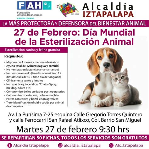 chilango Dónde esterilizar a perros y gatos gratis en CDMX y Edomex