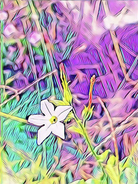 Grass And Flower Digital Art By Naveen Sharma Fine Art America