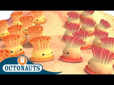 @Octonauts - The Brave Lemon Shark | Full Episode 42 | Cartoons for ...