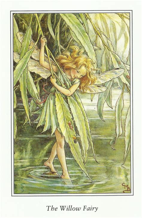 Willow Fairy Cicely Mary Barker Flower Fairies Vintage Print Etsy