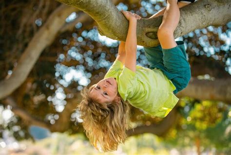 Mignon Enfant Gar On Blond Accroch Une Branche D Arbre Vacances D