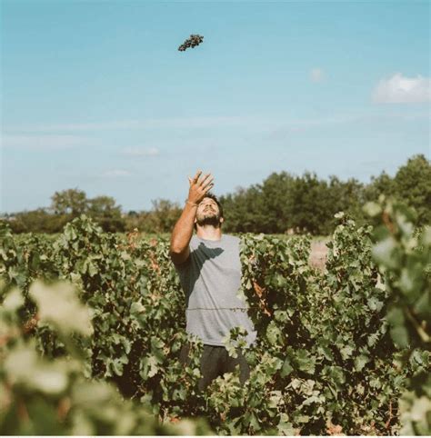 Rémi LAMERAT du terrain de rugby à la vigne