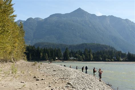 Fishing On The Fraser River The Complete Guide For 2023