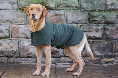 Dog And Fieldtm Duel Layer Towelling Dog Coat Olive Green Microfiber