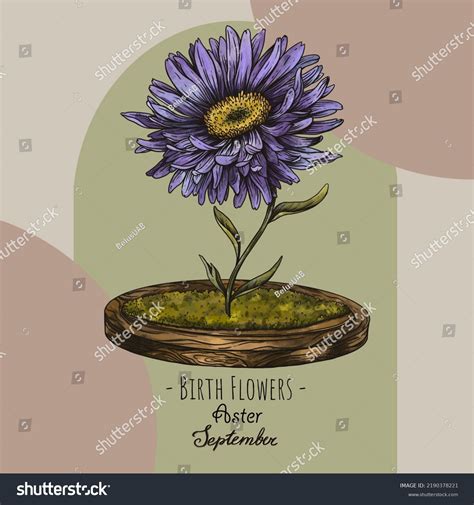 Vintage Hand Drawn Birth Month Flowers Stock Illustration 2190378221