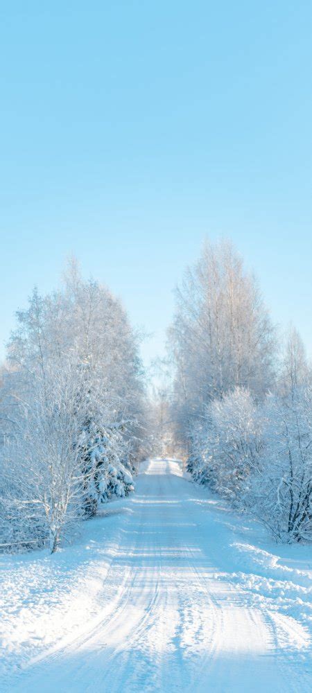 冬天风景雪地树公路风景高清手机壁纸超高清桌面壁纸图片壁纸社