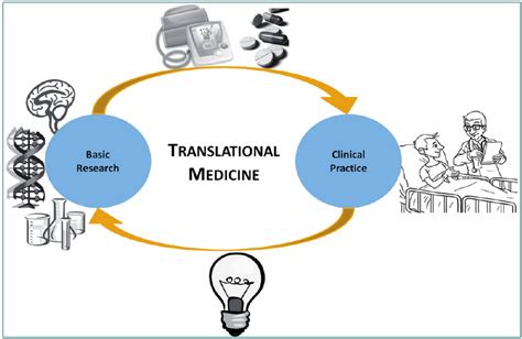 Knowledge Workflow In Translational Medicine Translational Medicine