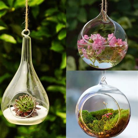 Terrarium Globe De Boule Forme Clair Suspendus Vase En Verre Fleur