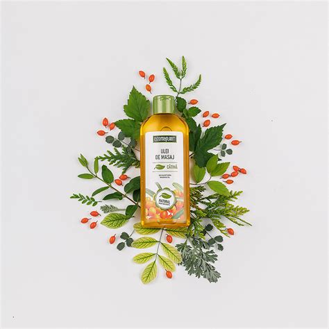 Massage Oil Sea Buckthorn 200 Ml