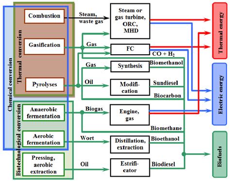 Review Of Biomass Conversion Methods Into Useful Electrical Thermal Download Scientific