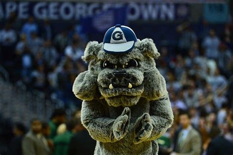 Jack The Bulldog Georgetown Hoyas Mascot Mascot Georgetown Hoyas