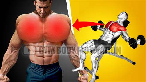 8 Best Chest Exercises You Should Be Doing Youtube