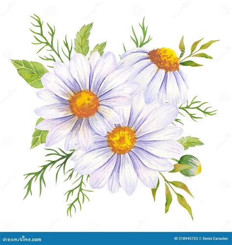 Watercolor Daisy Bouquet, Hand Painted Daisy Bouquets, Daisy Flower ...