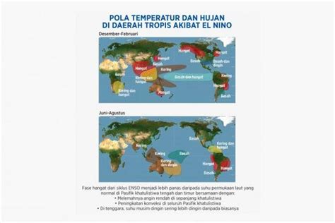 Dampak Dari Fenomena El Nino Adalah Fenomina