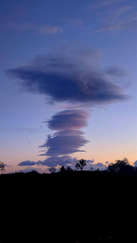 Download Wallpaper 1440x2560 Sky Clouds Trees Silhouettes Evening