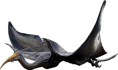 Pandora Vulture Avatar Wiki Fandom